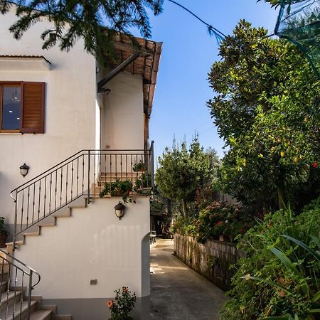 Mediterranean House Sorrento Exteriör bild