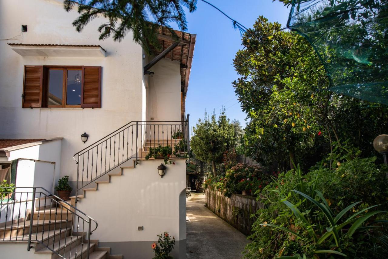 Mediterranean House Sorrento Exteriör bild